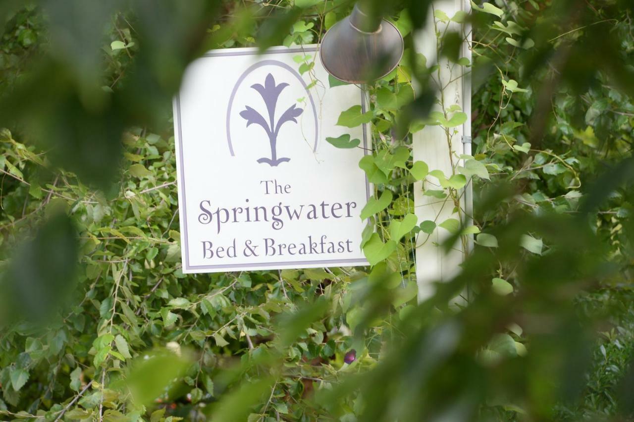 The Springwater Bed And Breakfast Saratoga Springs Dış mekan fotoğraf