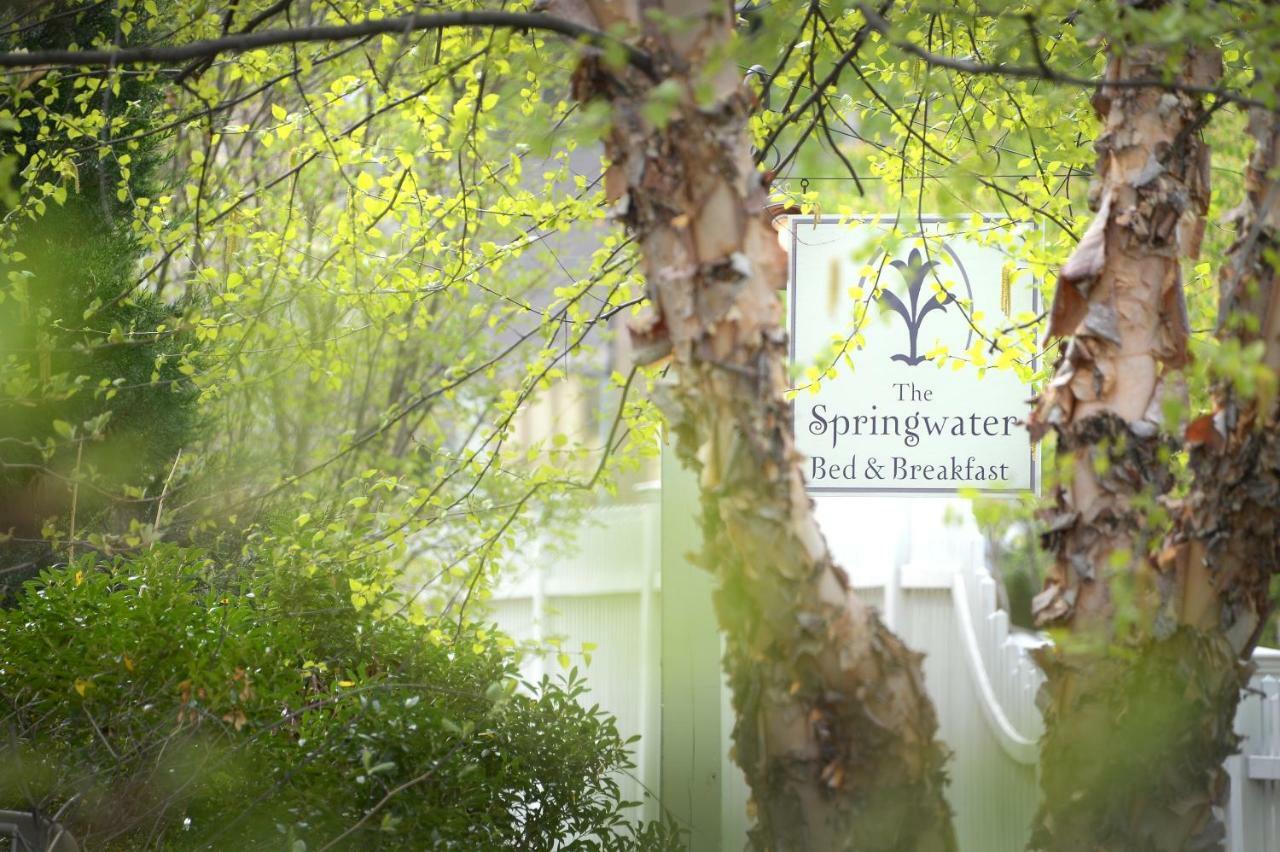 The Springwater Bed And Breakfast Saratoga Springs Dış mekan fotoğraf